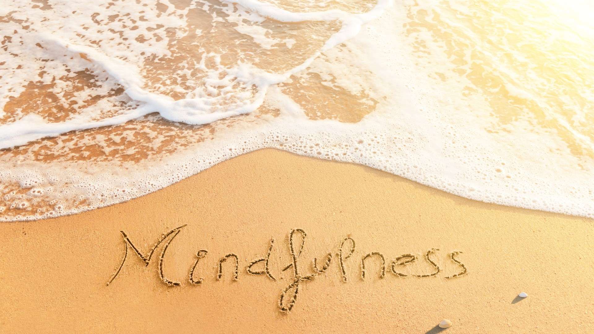 Living in the Magic of Life