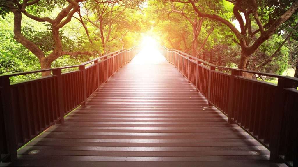 The Path to Genuine Connection