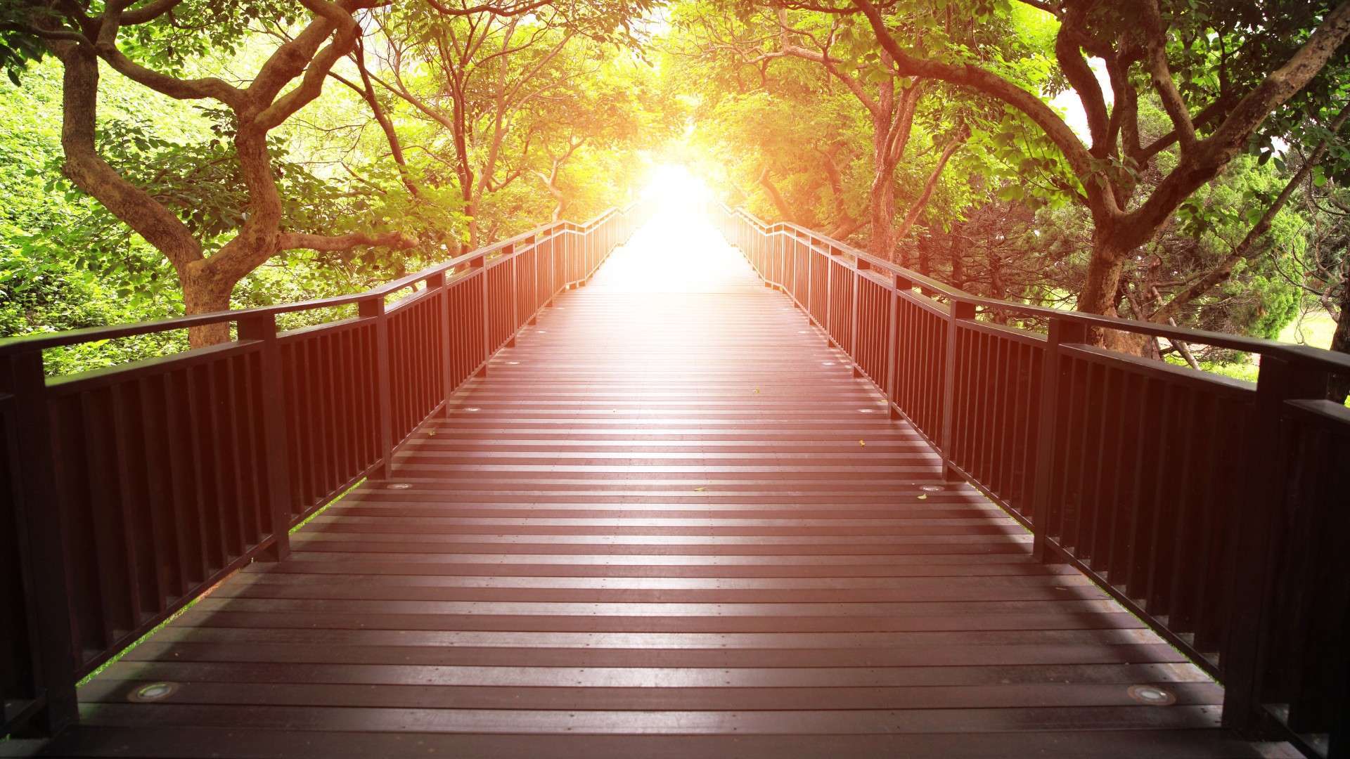 The Path to Genuine Connection