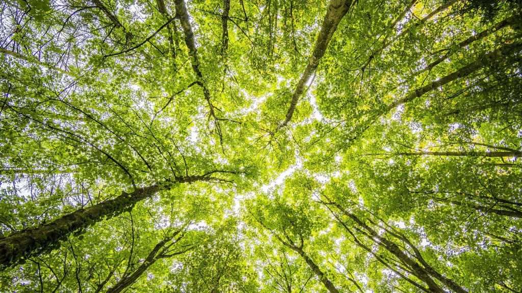 Transforming Your Perspective