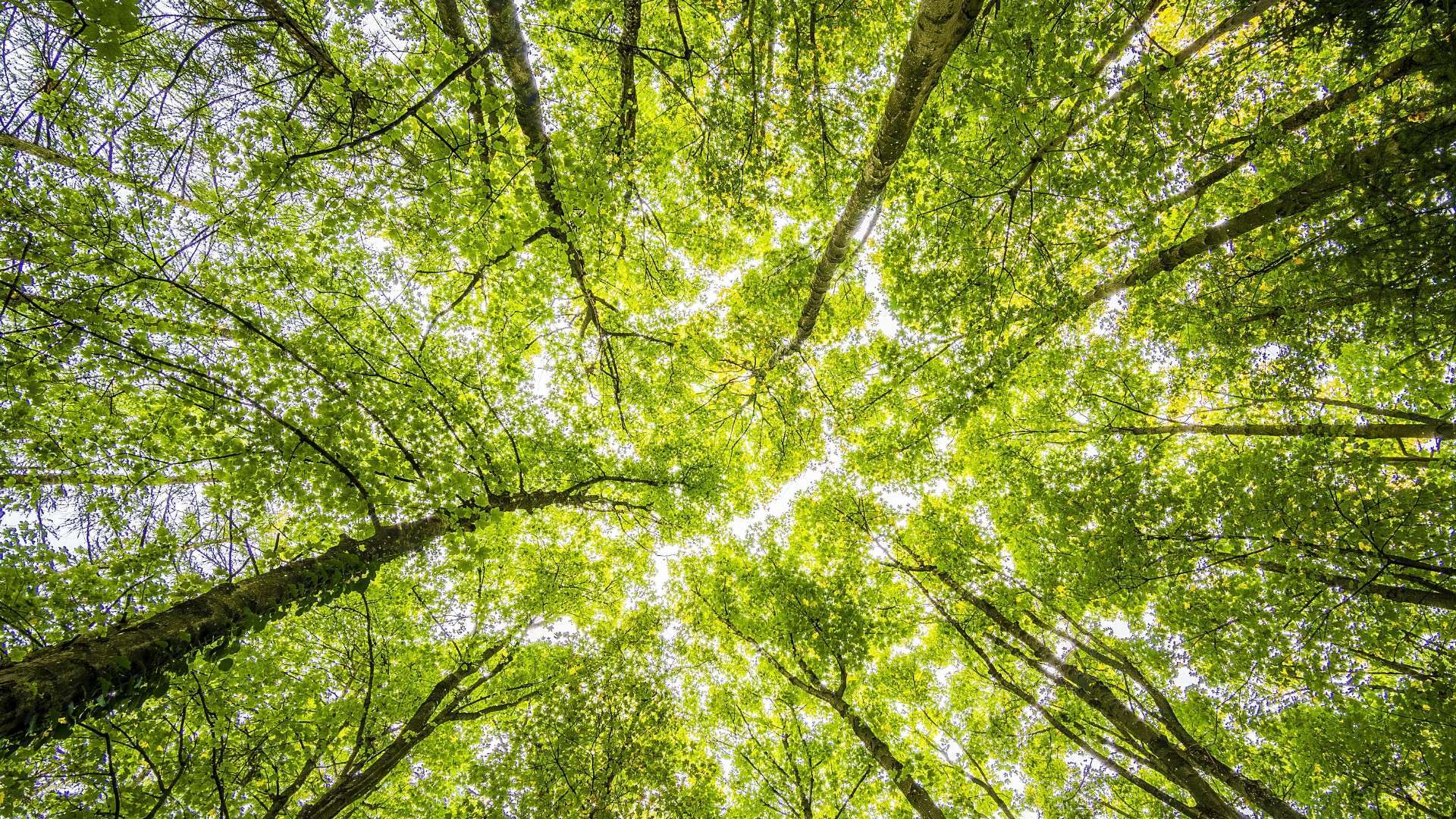 Transforming Your Perspective