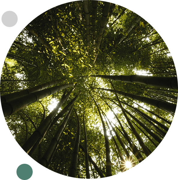 Consulting services – expert guidance on mental health and social justice